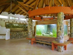 ARAHUANA RESORT Foto 07