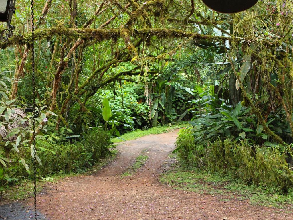 Foto Septimo Paraiso 05